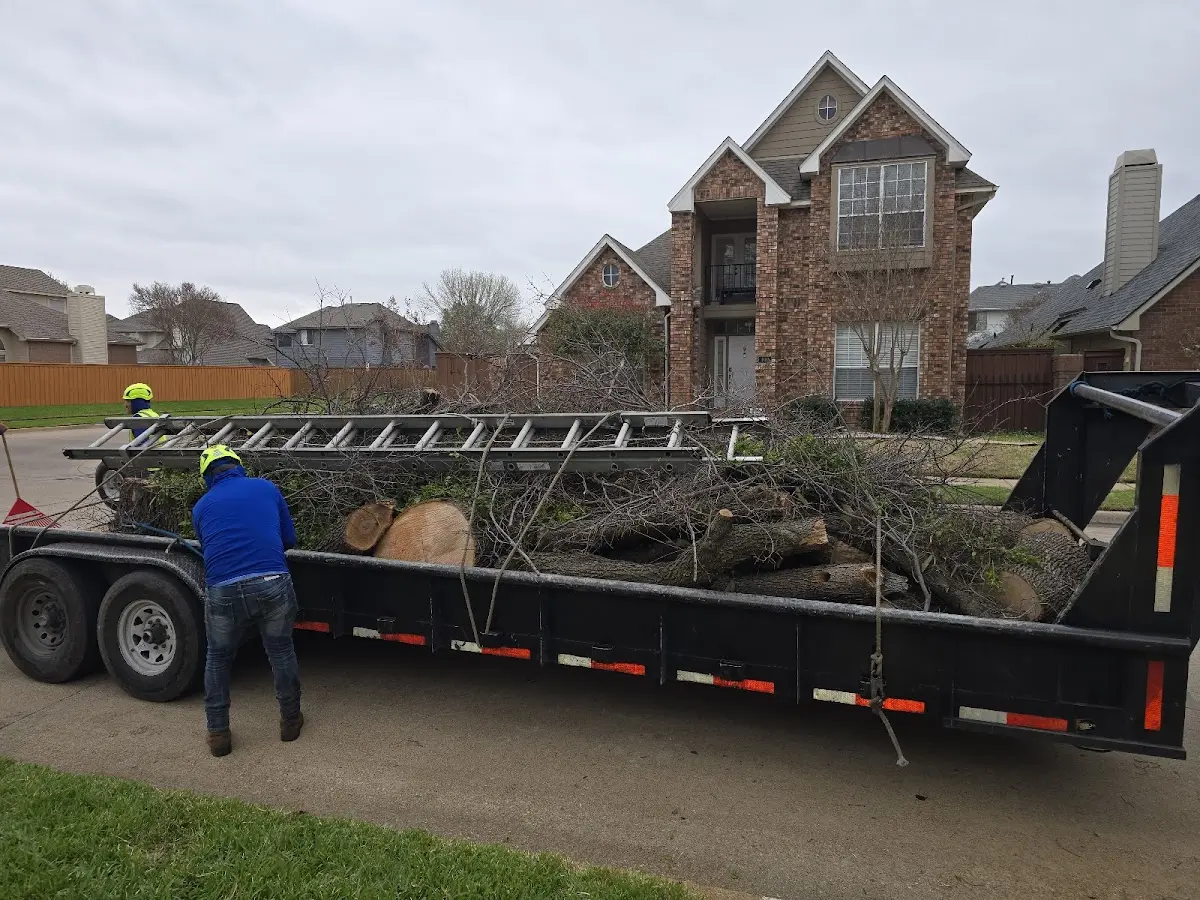 Expert Tree Removal with proper safety equipment in Swords Creek
